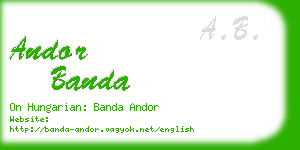 andor banda business card